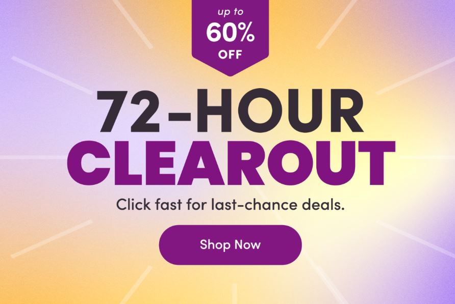 WayFair 72Hr Clear out sale