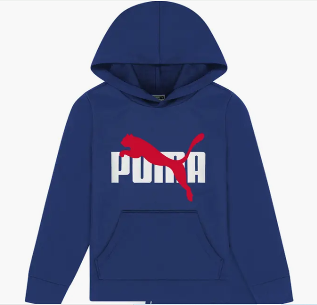 Fleece Pullover Hoodie & Joggers