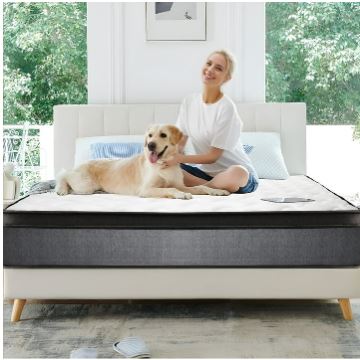 Bella4-Slice Stainless Steel Toaster Oven, 1000 Watts