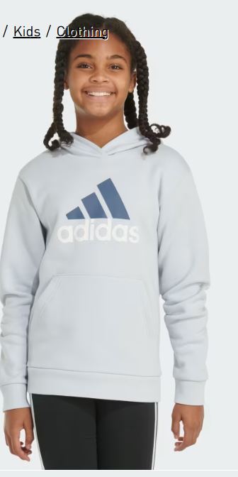 Essentials Graphic Hooded Pullover