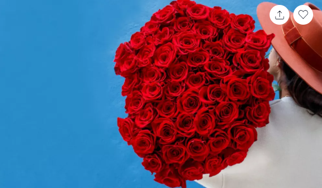 24, 36, 48, or 96 Luxury Long Stem Rose Bouquet (Red Roses) from Rose Farmers (Up to 79% Off)