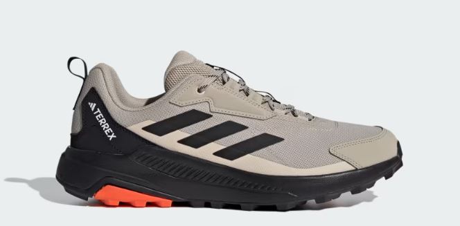 Terrex Anylander Hiking Shoes