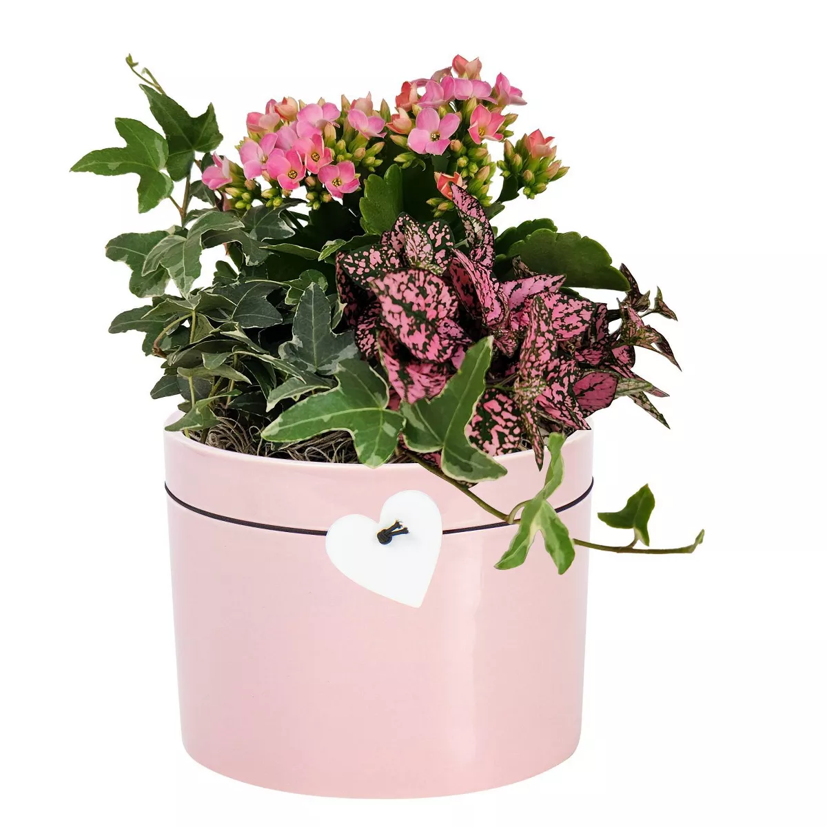 Live Adeline Garden Flower Pink – Spritz™