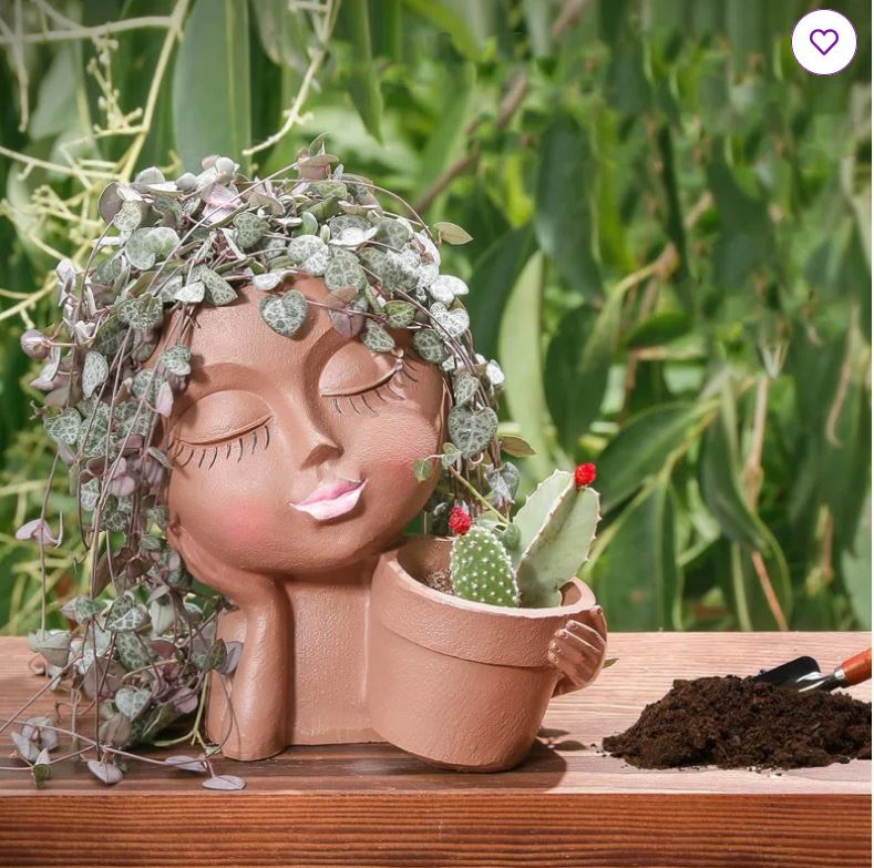 Miley Pot Planter