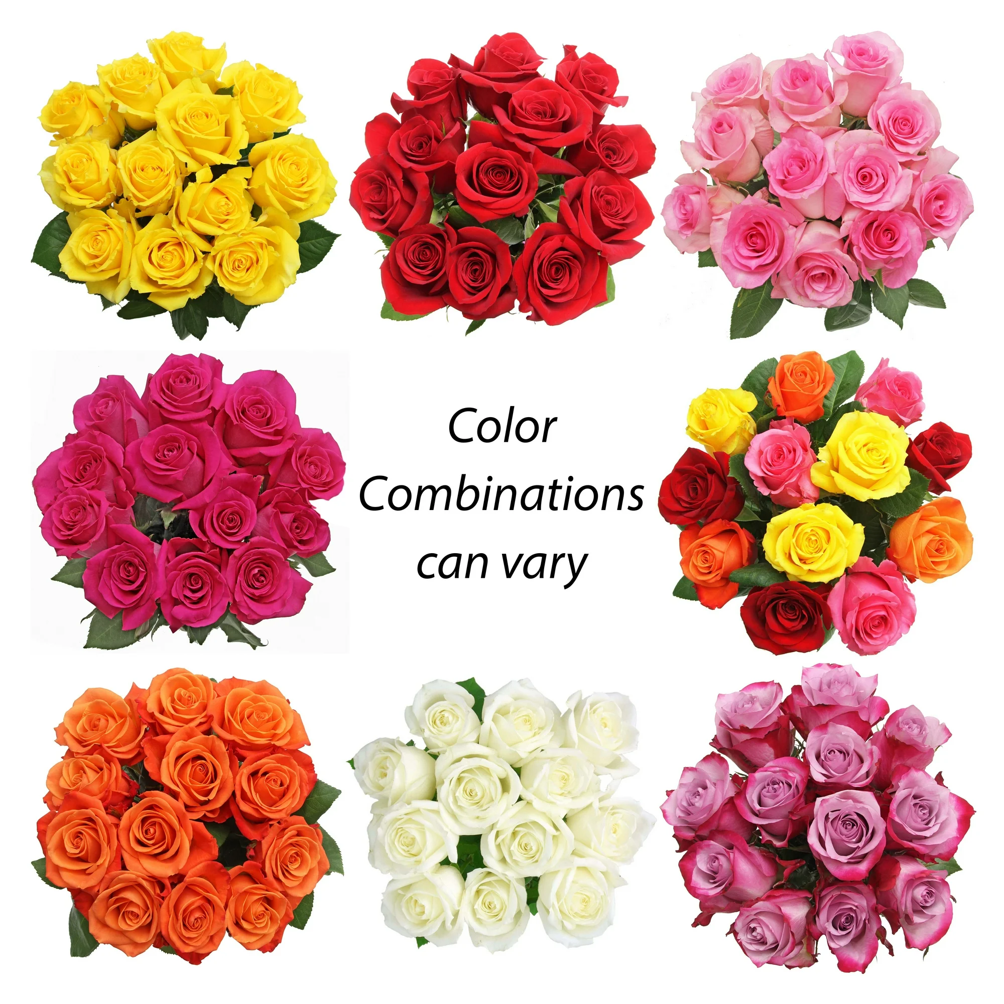 Valentine’s Day Dozen Roses, Fresh-Cut Flowers, 12 Stems, Colors Vary