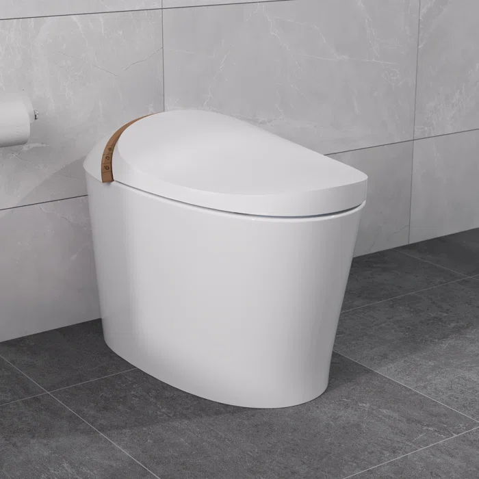 DV-1S0160-V1 Tankless Smart Elongated Toilet, Foot Flush, Seat Heating, Night Light, Soft-Close Seat,Standard