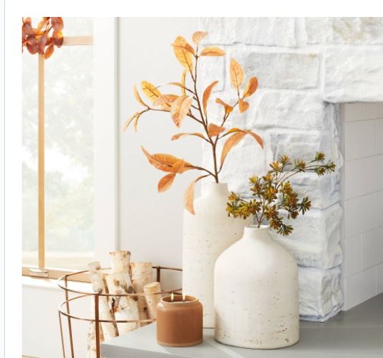 Braun Thermo Scan Ear Thermometer