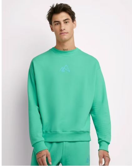 Hanes All Gender Explorer Collection French Terry Graphic Print Sweatshirt, Men’s Sizes Sizes XS-3XL