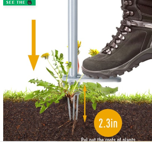 2-Pack CeraVe AM Facial Moisturizer with SPF 30