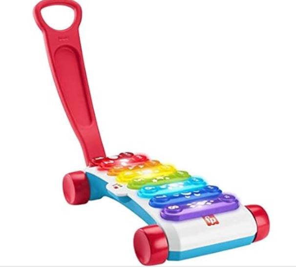 Fisher-Price Baby To Toddler Learning To