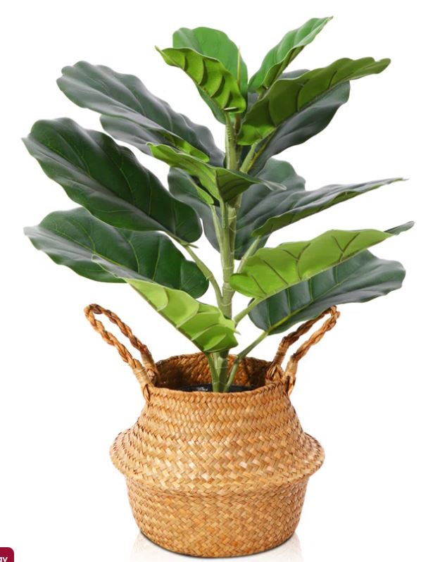 adidas women Essentials 3-Stripes Fleece Pants