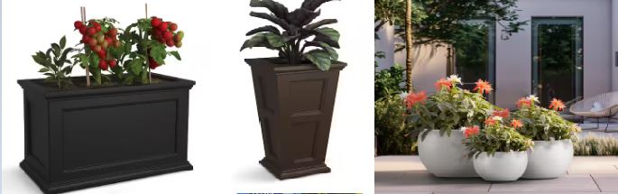PLANTERS on sale