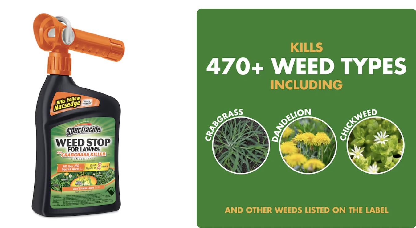 Klipsch SPL-150 15″ 800W Subwoofer