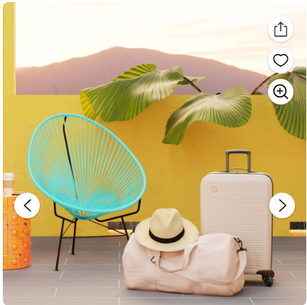 Protege 20 inch Unisex Hard Side Carry-on Spinner Luggage, Matte Pink