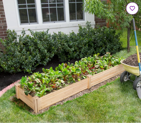 Cisbrough Multi-sized Fir Wood Planter Box for Yard