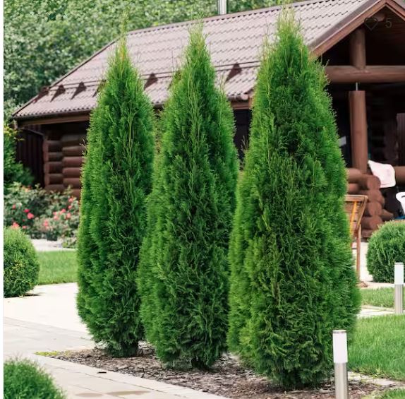 SPOFLYINN Modern Coffee Table with LED Lights, 16 Colors 4 Lighting Modes, Easy Assembly, Console Media Cabinet Entertainment Center for Living Room, Dining Room, Bedroom, Black, One Size