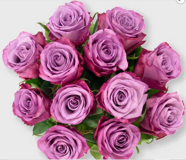 Mother’s Day Fresh Cut Dozen Roses – Good Little Garden™