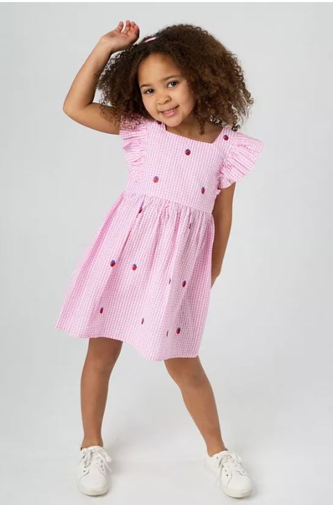 Toddler and Little Girls Strawberry Seersucker Dress
