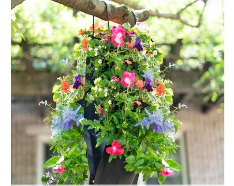 Philips Norelco – OneBlade Pro 360, Face & Body Hybrid Electric Trimmer and Shaver – Chrome