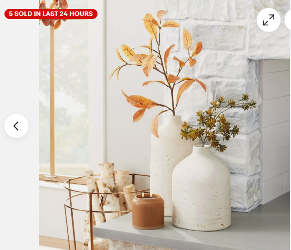 GO!! This beautiful Hearth & Hand Vase is only $13.59!!!