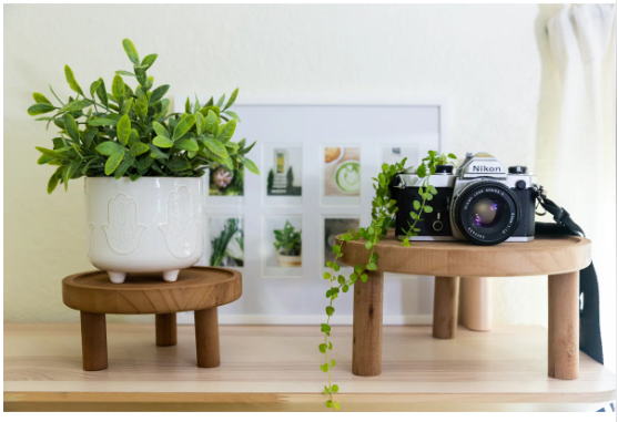 2 Piece Mobile Outdoor Raised Garden Bed Wood Planter Box with Trellis and wheels