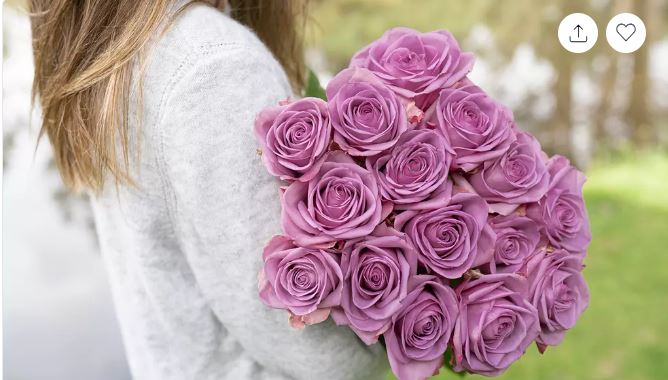 Ring Security Doorbell Bundle