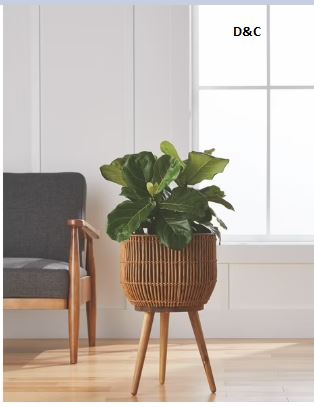 Online Only! Buy Craftsman V20 String Trimmer Kit, Get 2 select V20 Bare Tools FREE