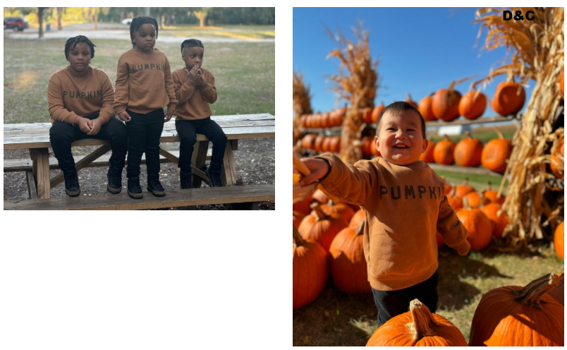 Disney Princess Magical Adventures Castle