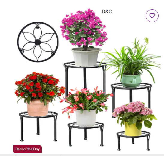 Lismore 12 Pair Shoe Storage Cabinet