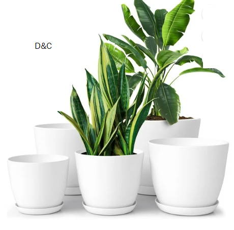 men’s grand court alpha shoes