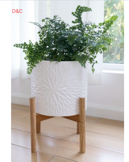 Nicola 60″ 3-Blade Modern Ceiling Fan With Remote Control