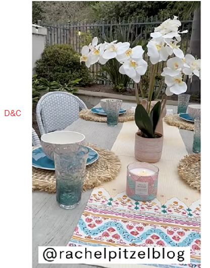 Linden Street “19”” Potted Orchid” Floral Arrangement