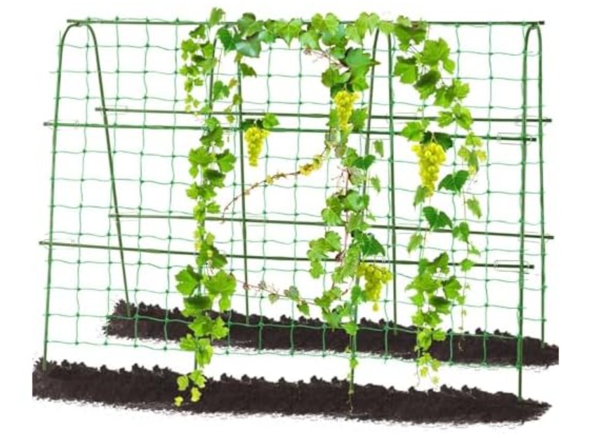 Garden Cucumber Trellis for Climbing Plants, 63x48inch U Frame Metal Arch Garden Trellis Climbing Plants Support Grape Vines Tomato Vegetable Cucumber Trellis for Raised Bed, Green