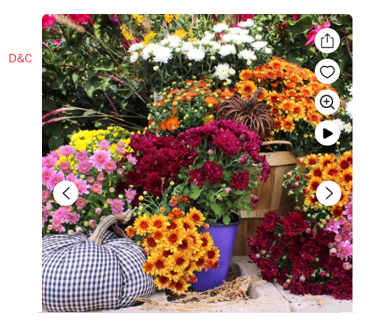 Pickleball bag tote, Pickleball bags for women, Pickle ball bag w/ Adjustable Shoulder Strap & fence hook, Large capacity, pockets & compartments, Pickleball paddle cover, Pickleball accessories women