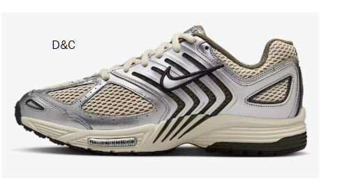 Men’s Shoes Nike Air Pegasus 2005