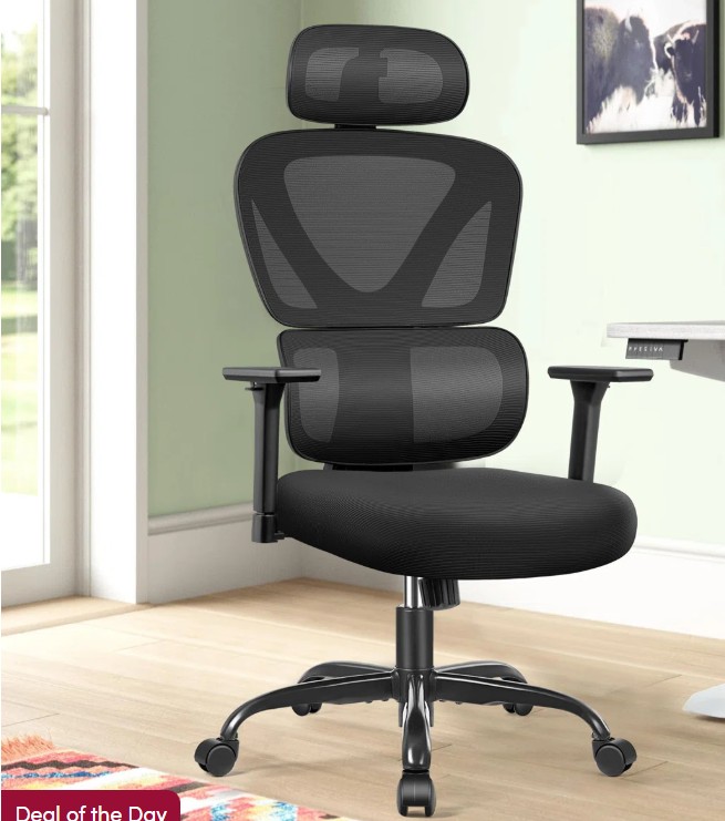 Nyre Ergonomic Mesh Task Chair with Headrest and 3D Adjustable Arms