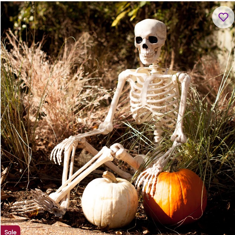 Bentgo 2-In-1 Backpack & Lunch Bag and Bentgo Kids Chill Lunch Box, Choose Color