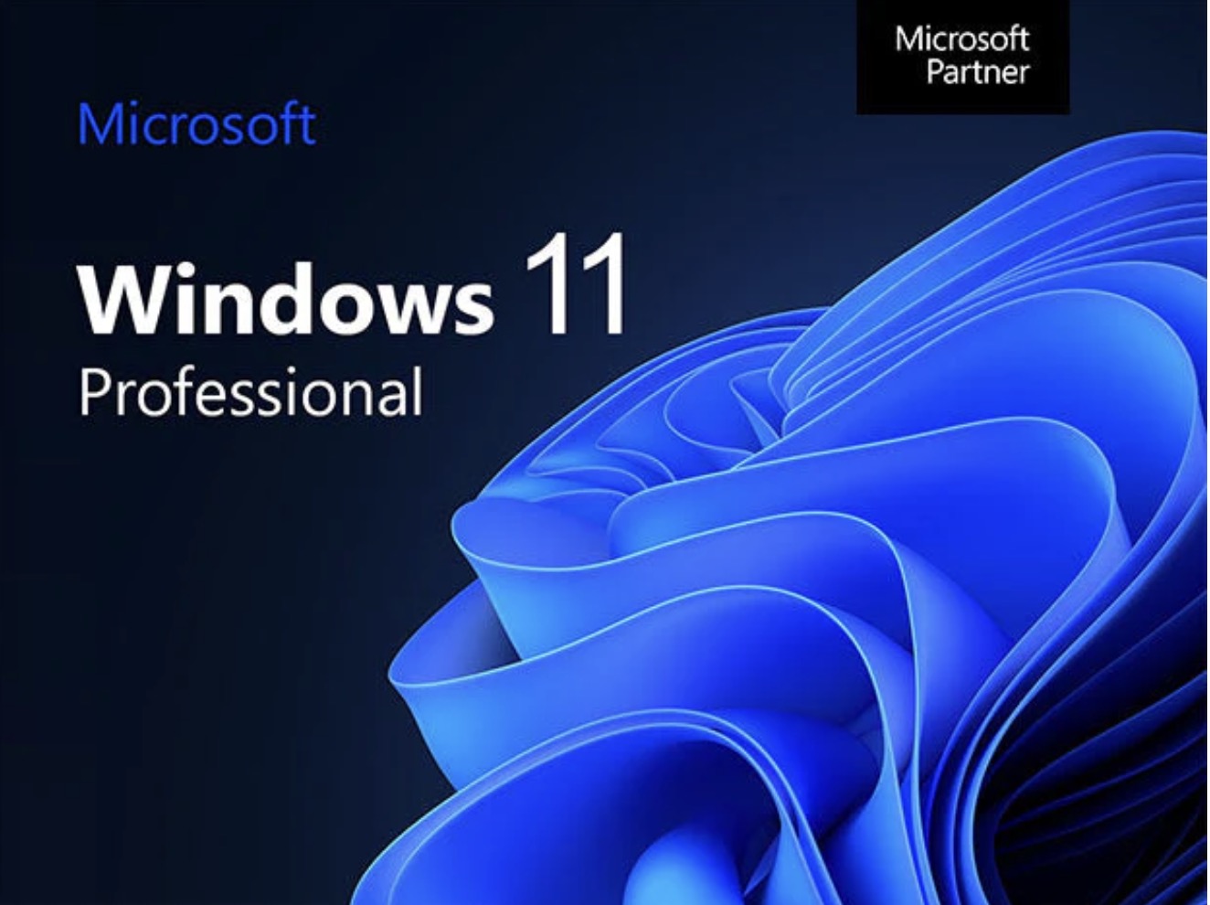 Folding Hard Arm 2-Pack Beach Bag Chair with Carry Bag, Blue only for $19.88