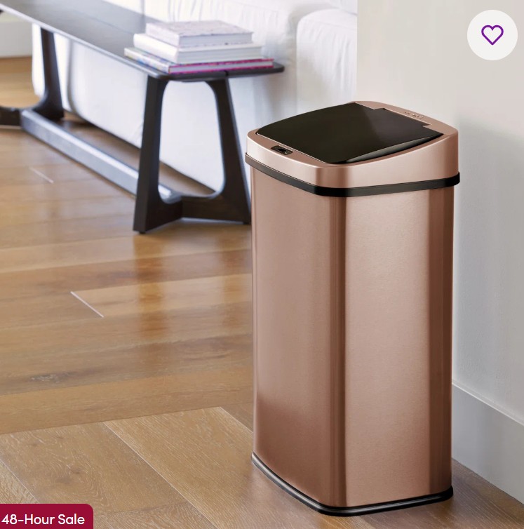 Nine Stars 13.2 Gallon Stainless Steel Motion Sensor Trash Can