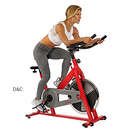 Sunny Health & Fitness SF-B1709 Bike