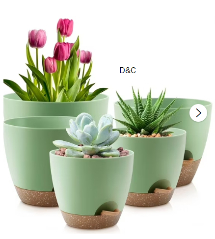 FOUKUS Set of 5 Self-Watering Plant Pots with Drainage – Eco-Friendly Plastic Planters for Indoor & Outdoor Use – Pots for Succulents, Cactus, Snake Plants (7″, 6.5″, 6″, 5.5″, 5″) – Green