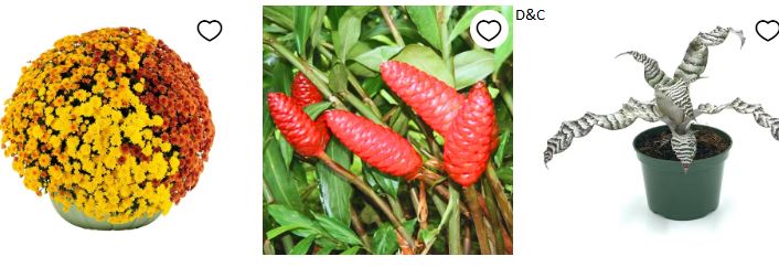 Toddler 2-in-1 Booster Car Seat Shipped!