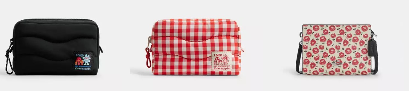 Coachtopia Loop Pouch In Recycled Polyester