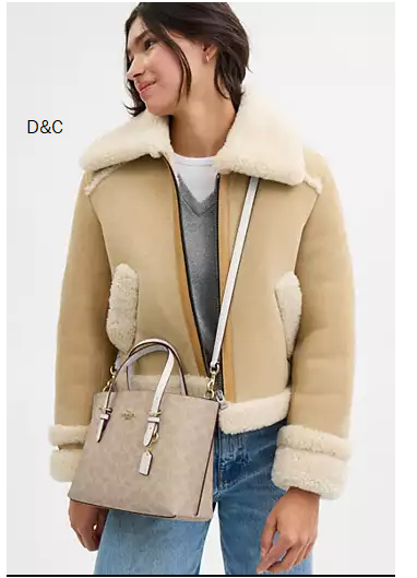 coachoutlet Mollie Tote Bag 25 In Signature Canvas