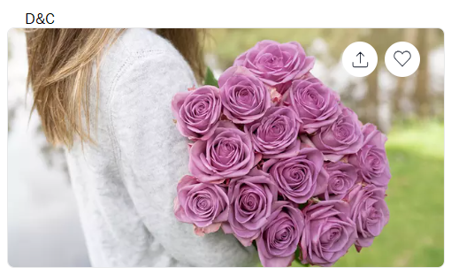 24 Luxury Long Stem Roses