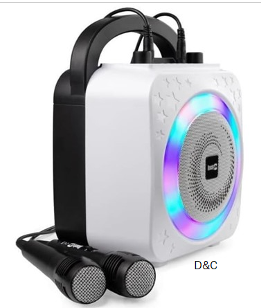 RockJam 10 Watt Bluetooth Karaoke Machine with Two Mics