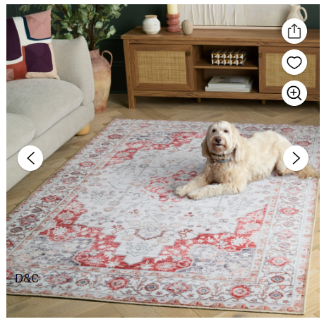 SAFAVIEH Arizona Seine Oriental Machine Washable Area Rug, Light Gray/Rust, 8′ x 10′