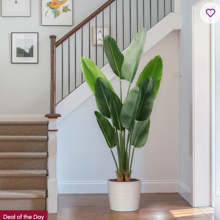 LEGO Star Wars Executor Super Star Destroyer Building Set for Adults – Darth Vader Collectible Model Kit, Ages 18+ – Gift for Christmas – 75356