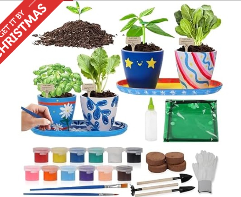 Kobalt 24 -Volt 1 -Pack Lithium-ion ( 2 Ah Battery and Charger )