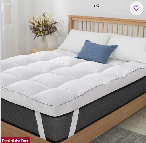 Women’s Handbags – Limited-Time Specials